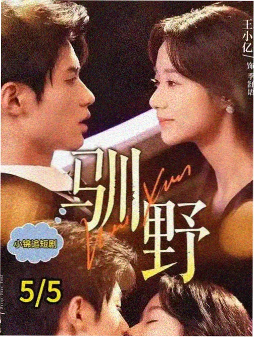 暗夜与黎明电视剧免费观看高清 特别篇